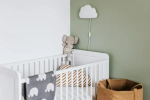 Read more about the article The Best Baby Cribs: Top 5 Picks for Safety, Style, and Comfort